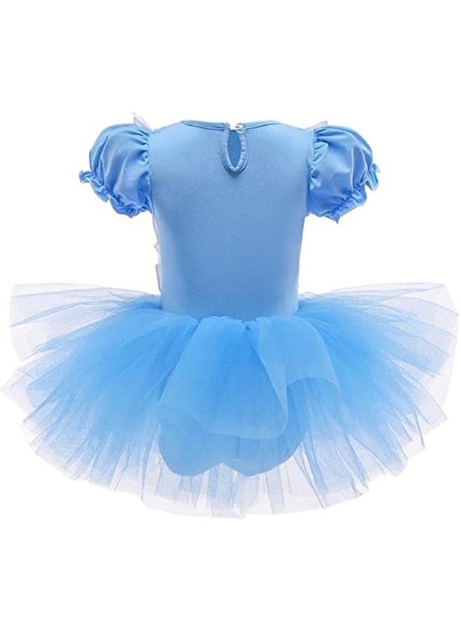 ISank Ballet Leotards Tutu Dress for Toddler Girls Ballerina Outfits Dance Costume Dancewear with Tulle Skirt  - Image 2