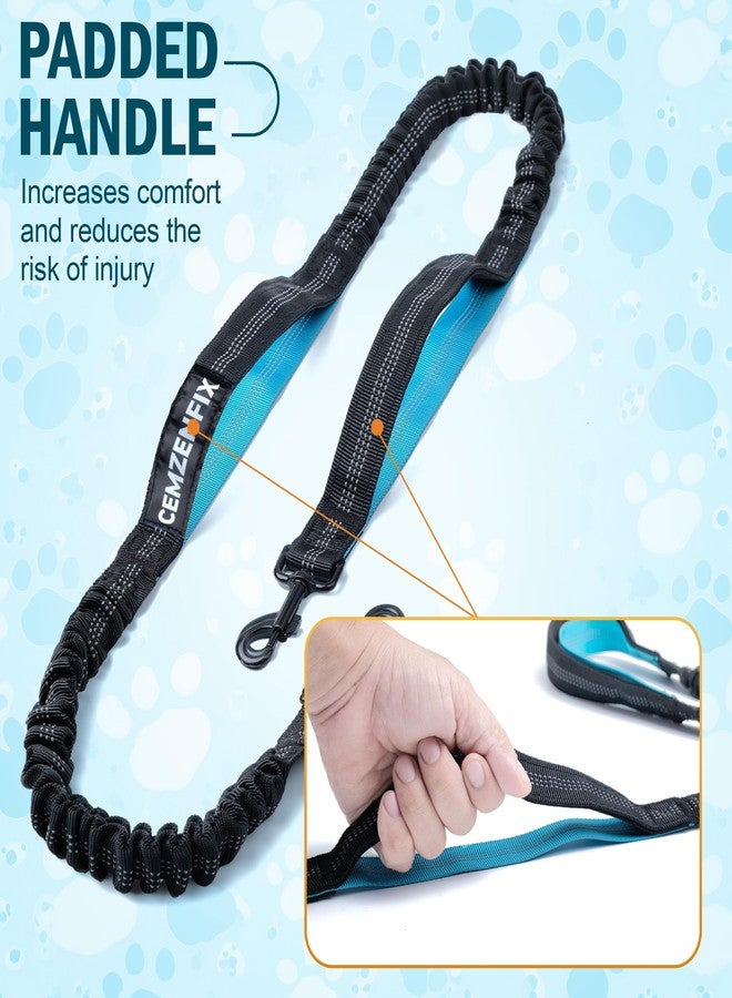 CEMZENFIX Hands Free Dog Leash for 2 Dogs – Waist Leash for Dog Walking with Dual Bungee, Reflective No Pull Design, Adjustable Belt & Pouch for Running, Hiking, Jogging - Image 3