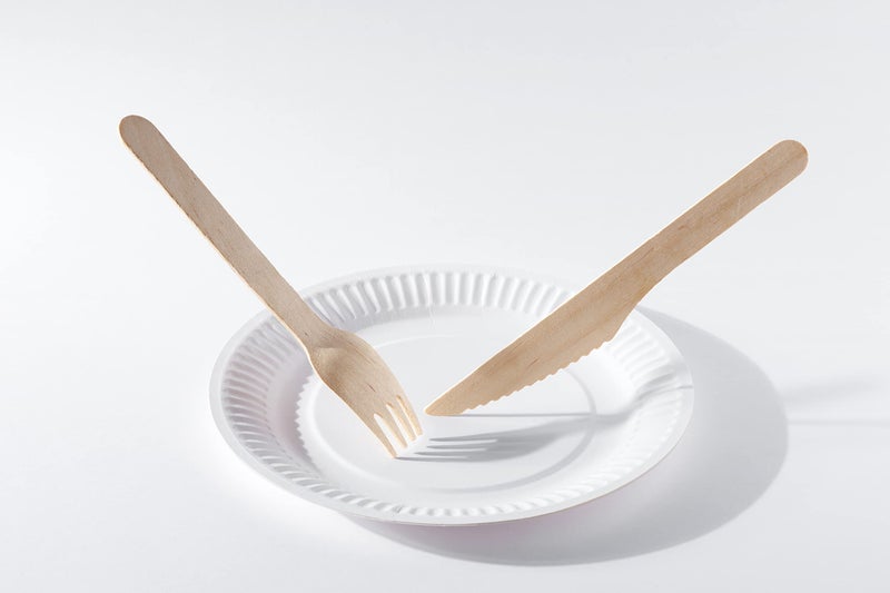 Spa Stix 6"" Disposable Paper Plate - Pack of 500ct (Model: SS-Paper Plate 6-500) - Image 4