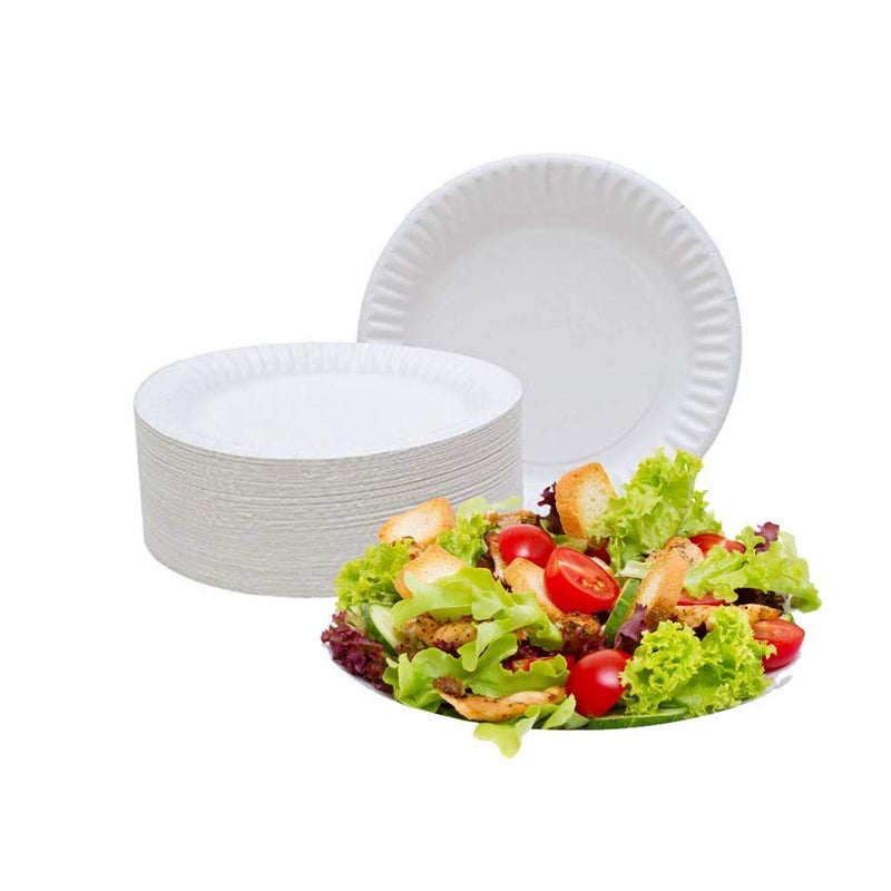 Spa Stix 6"" Disposable Paper Plate - Pack of 500ct (Model: SS-Paper Plate 6-500) - Image 3