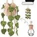 DaisyInner Cute Crochet Plant Car Freshener 12ml Empty Refillable Diffuser Bottle with Plants Hanging Accessories for Ornaments Charms Rearview Mirror Home Office Decor Women GiftsLeave - Image 2