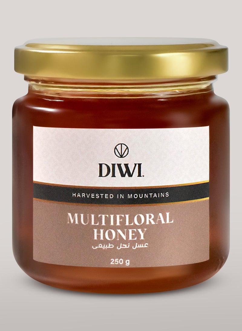 DIWI Multifloral Honey 250g - Image 1