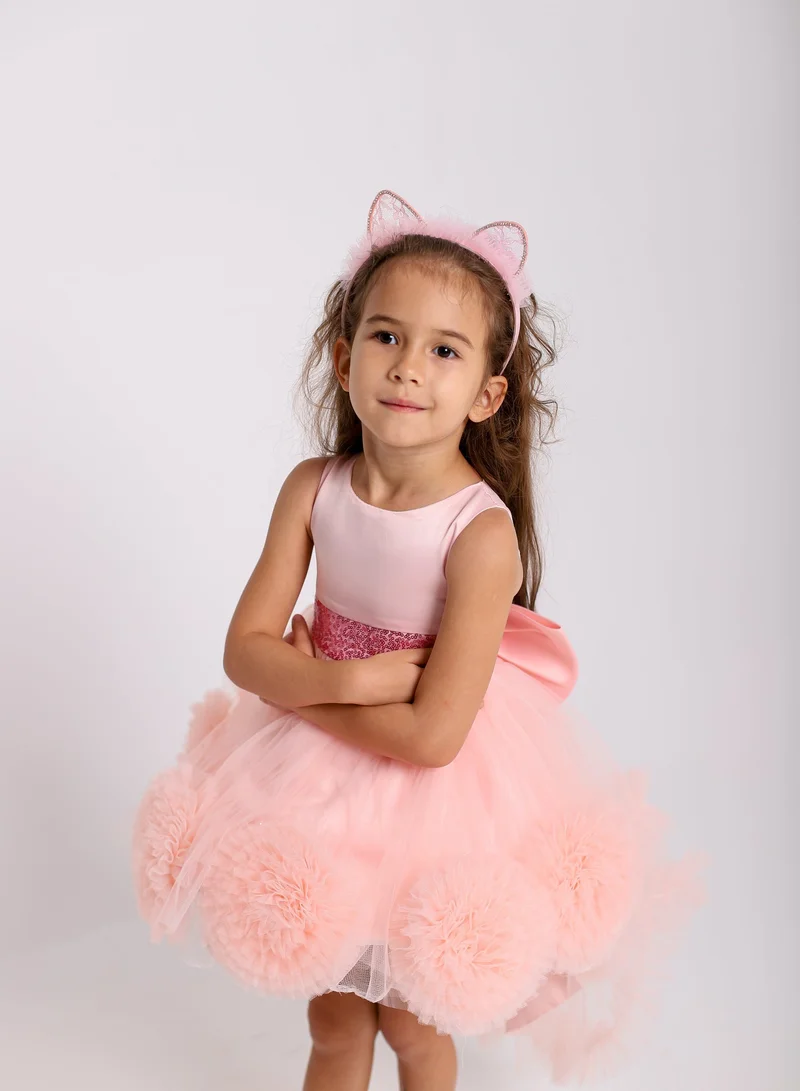 D'Daniela D'Daniela Princess Tutu Party Dress for Girls Light Pink