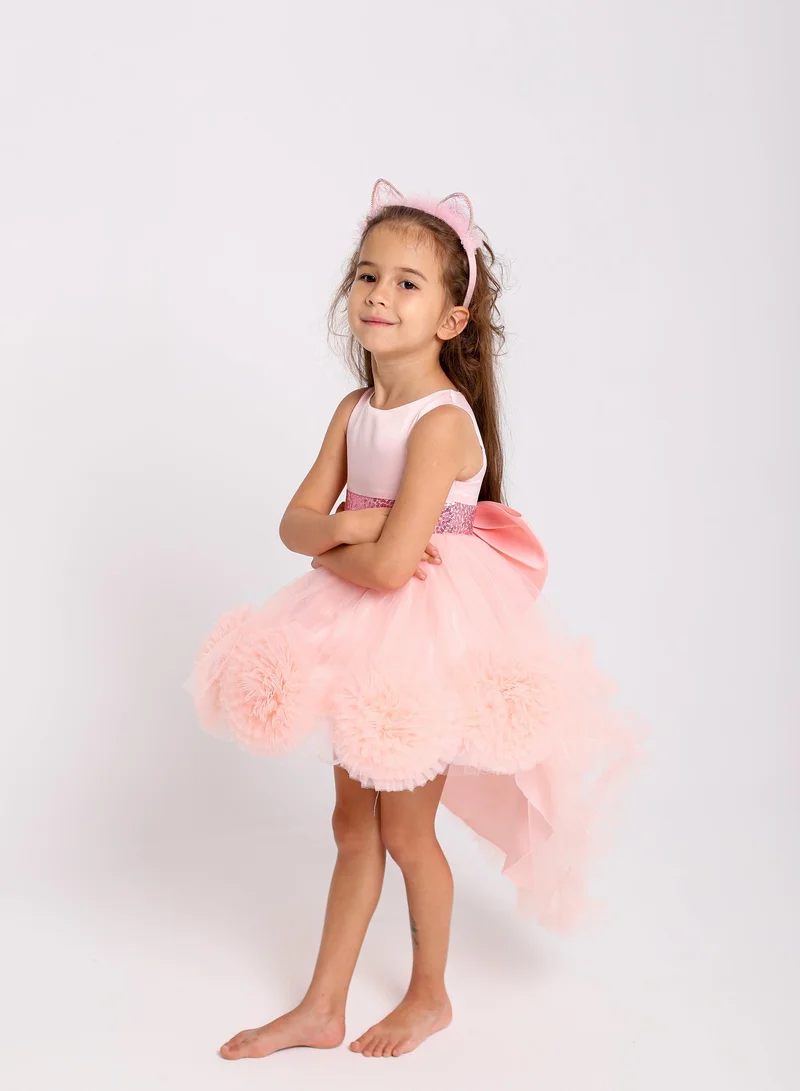 D'Daniela D'Daniela Princess Tutu Party Dress for Girls Light Pink