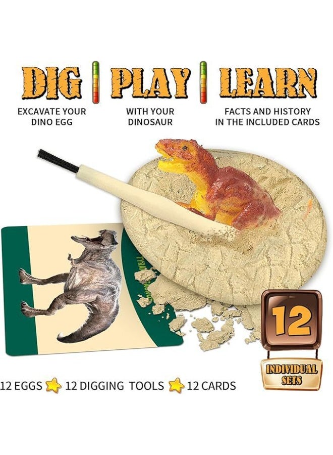 Halamodo Dinosaur Eggs Excavation Dig Kit, Dinosaur Toys for Kids, Break Open 12 Dinosaur Eggs and Discover 12 Cute Dinosaurs, Archaeology Preschool Science STEM Crafts Birthday Gifts for Boys - Image 3