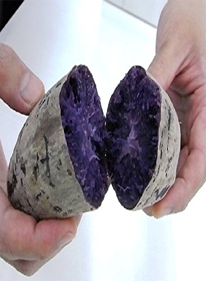 GGOOT Japanese Purple Sweet Potato (0.2 Lb)Excellent yields and flavor. Stores well. - Image 2