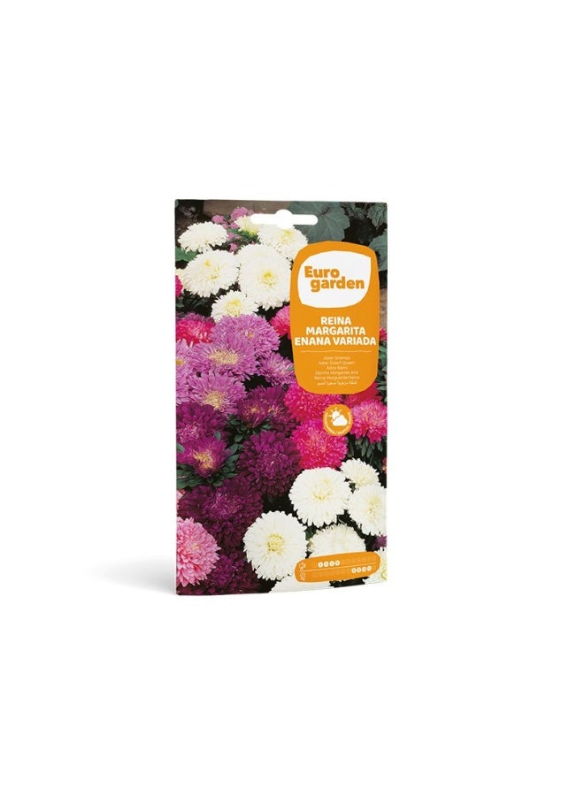 Euro Garden EG Aster Dwaft Mix Seeds