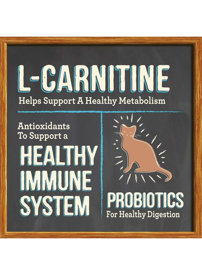 Merrick Purrfect Bistro Grain Free Natural Dry Cat Food For Adult Cats, Real Chicken And Sweet Potato Recipe - 4 lb. Bag - Image 3