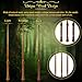 ChampWe Wooden Magic Wand Wizard Witch Wood Wands Hand Carved for Collection Cosplay Christmas Party with Spellbook Gift Box Foliage - Image 4