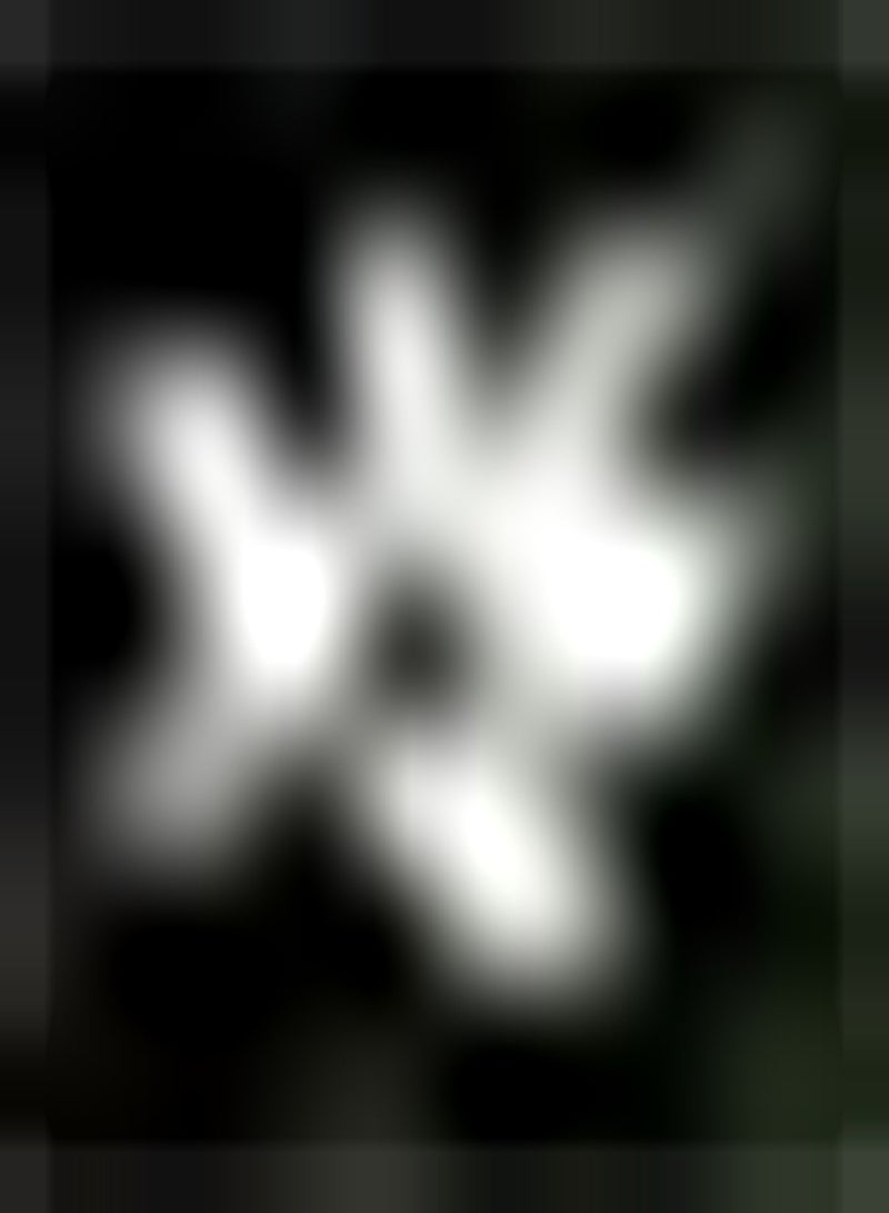 GGOOT 5pcs Witte Zephyranthes Bollen Outdoor Planten voor Huis Tuin Bonsai Plant Hoge Kiemkracht Exotische Rassen Unieke Geur bloei - Image 2