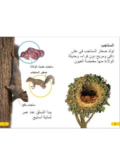 DK Super Readers Level 2 Wild Baby Animals (Arabic translation)  - Image 1