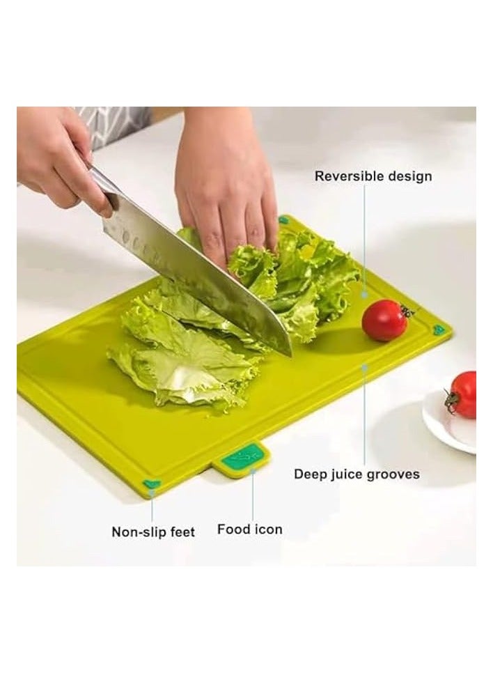 Biella Cutting Board Set - Chopping Board with Color Coded Food Icon for Meat Vegetable Fruit Fish (MULTI COLOUR, SET OF 1) - Image 4