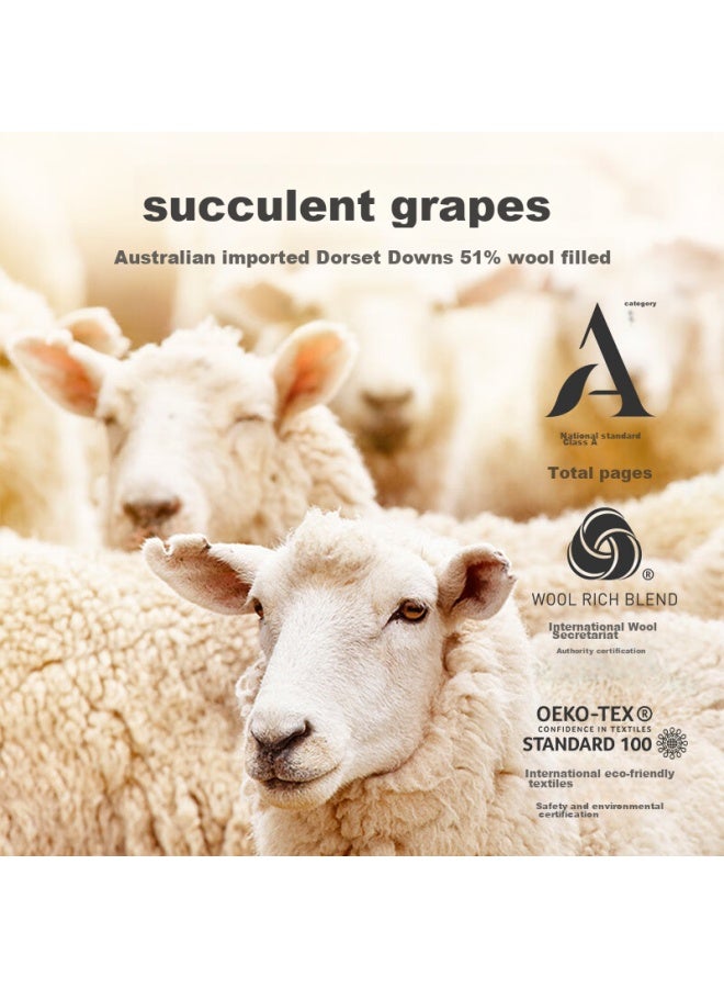 Duosite Australian Wool Comforter, 51% Wool Grade A Spring And Autumn Duvet, 6.0 Jin, 2.2*2.4 - Image 3