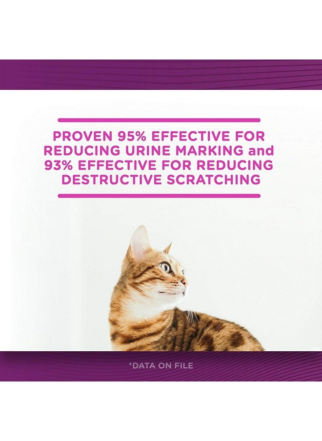 Comfort Zone Comfort Zone Basic Calming Diffuser Kit for Cat Calming  - Image 3