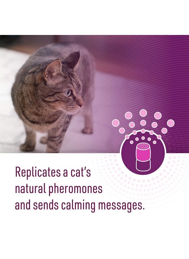 Comfort Zone Comfort Zone Basic Calming Diffuser Kit for Cat Calming  - Image 5