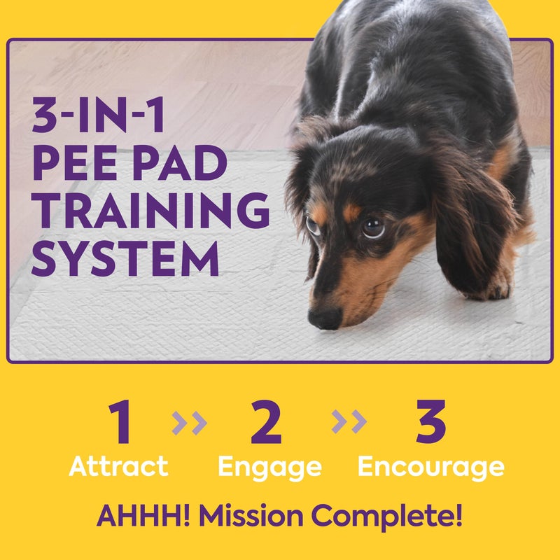 OUT أوت! وسادات تدريب الكلاب XL، وسادات كبيرة جداً للتحكم في الروائح، وسادات كبيرة جداً للتبول للكلاب، وسادات للتبول للكلاب والجراء، مقاومة للتسرب، آمنة، قابلة للتخلص، 26"x24، 60 عدداً - Image 5