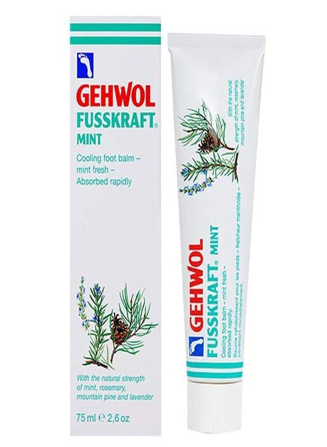 Gehwol Mint, 2.6 Oz  - Image 1