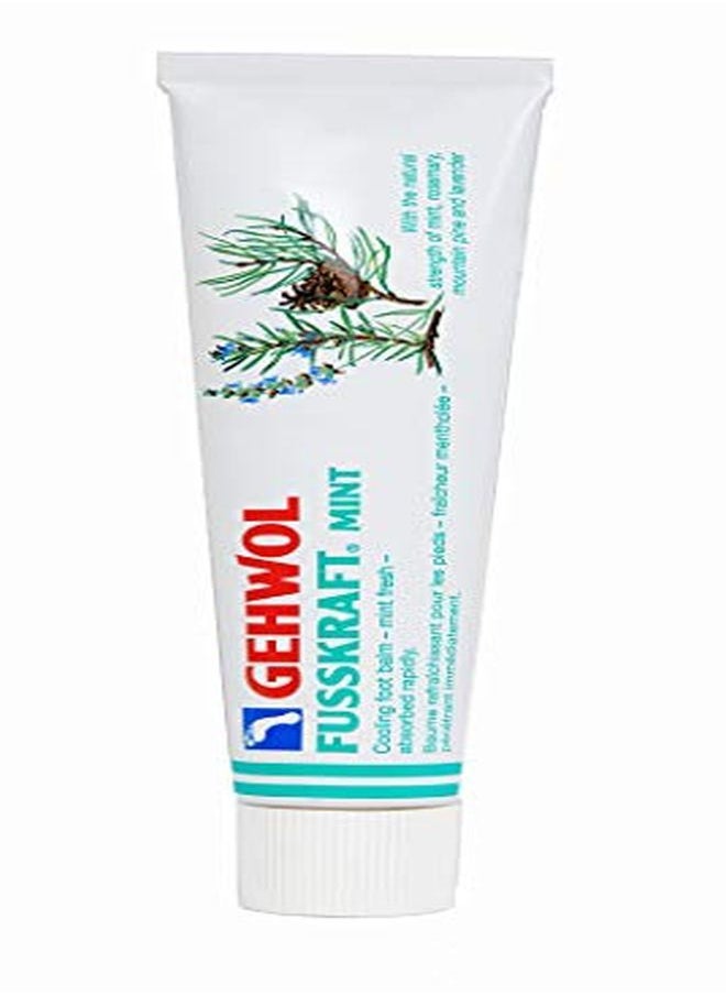 Gehwol Mint, 2.6 Oz  - Image 4