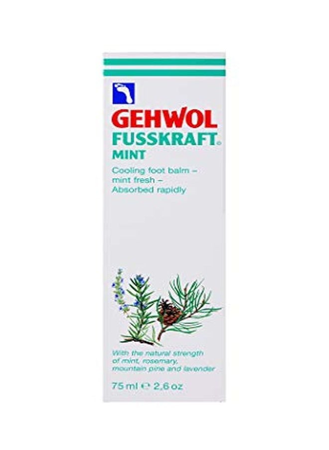Gehwol Mint, 2.6 Oz  - Image 2