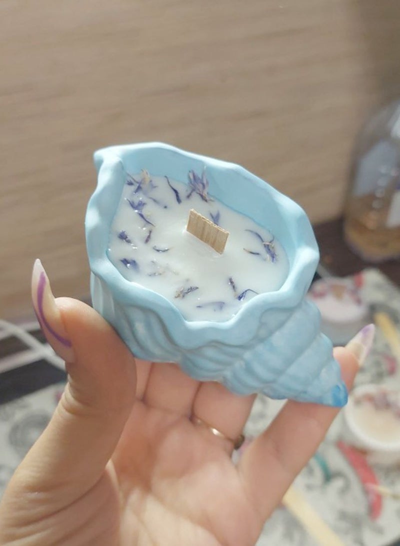 شموع معطرة على شكل قوقعة ديكورية من مادة الكونكريت ٣ قطع 