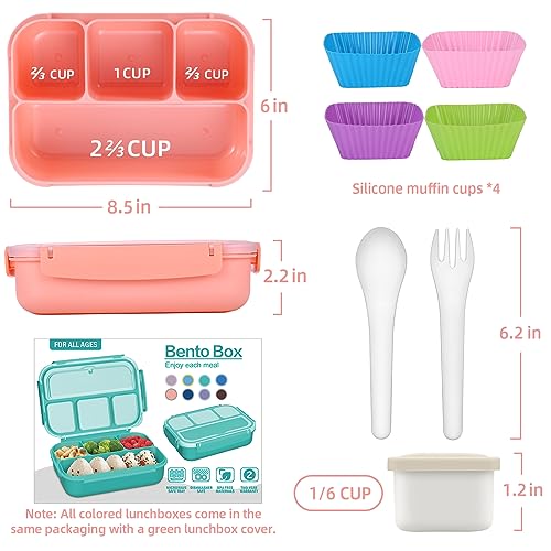 QQKO Bento Box Adult Lunch Box, Lunch Containers for Adults Men Women, Kids Lunch Boxes for School with 4 Compartments, Sauce Container, Utensils and Muffin Cups, Pink - Image 2