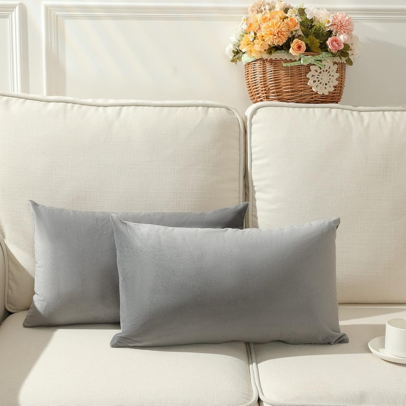 Aazeem Pillow Cover Set |2 Pcs |Luxury Supersoft Pillow Case|Decorative Velvet Throw Pillow Covers Modern Soft Couch Farmhouse Home Decor for Fall Sofa Bedroom Living Room|20 x 30 Inches |Grey Color| - Image 1