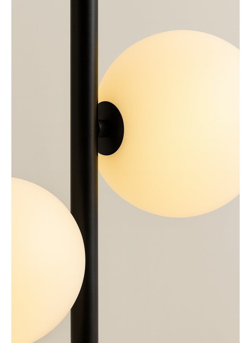 Cluc Black Globo di vetro floor lamp  - 2 globes - Image 3