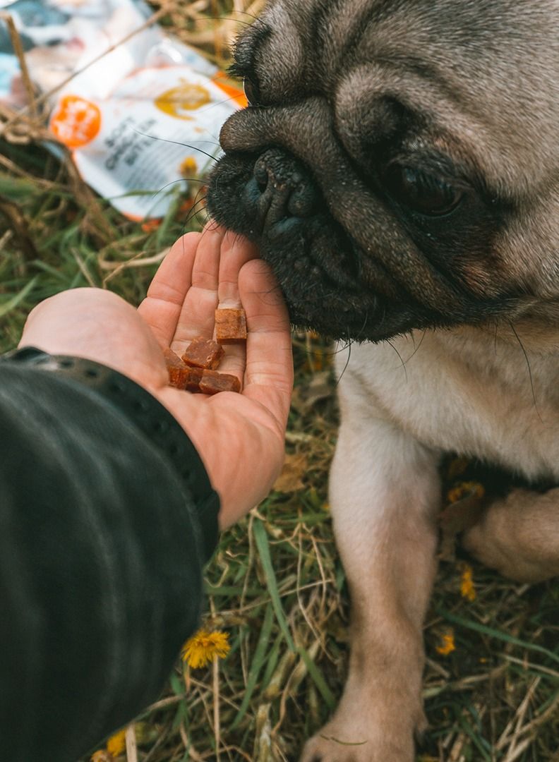 duvo Plus Meat Soft Chicken Bites Snack For Dogs 200G - Image 3