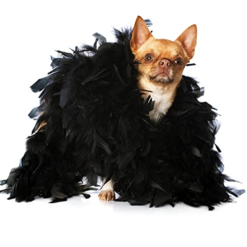 KAWAII Feather Boa Turkey Chandelle 2 Yards Feather Boa Great for Party Dancing Dress Up Halloween Costume Decors - Image 5