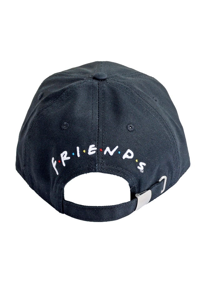 Warner Bros. Friends v2 Adult Premium Cap - Image 4