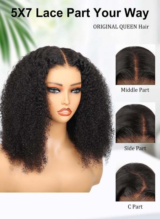 ORIGINAL QUEEN Afro Curly Wig Wear and Go Glueless Wig Human Hair Pre Cut Pre Plucked 5X7 Large Lace Front Wigs Human Hair for Women 3D Dome Cap Beginner Friendly 16Inches - Image 3
