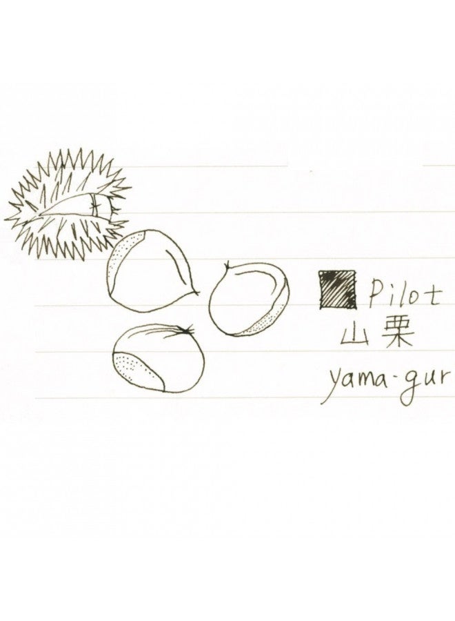PILOT Pilot Iroshizuku Fountain Pen Ink - 50 Ml Bottle - Yama-Guri Wild Chestnut (Dark Brown) (Japan Import) - Image 2
