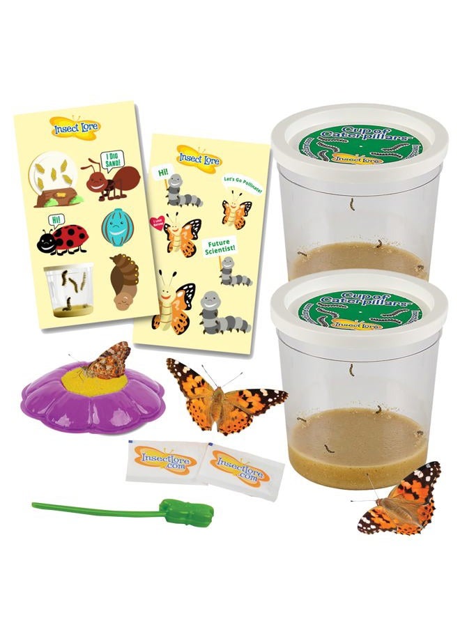 Insect Lore Two Cups of Caterpillars Deluxe - 10 Live Baby Caterpillars with Stickers - Raise and Relase Painted Lady Butterflies - Image 1