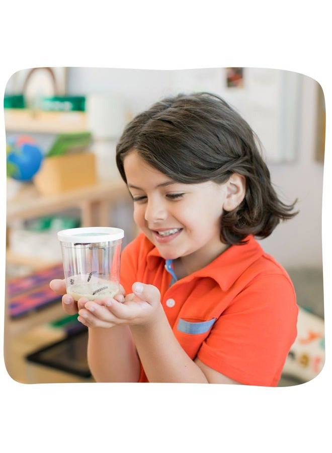 Insect Lore Two Cups of Caterpillars Deluxe - 10 Live Baby Caterpillars with Stickers - Raise and Relase Painted Lady Butterflies - Image 5
