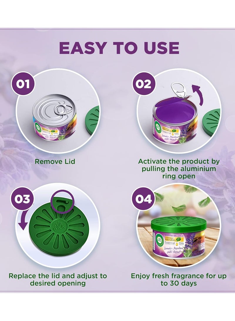 general Air Wick Scented Gel Lavender pack may vary - Image 5