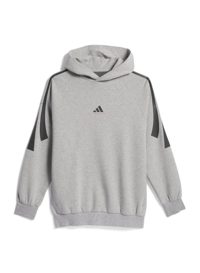 Adidas adidas ADI BB PK HOODY Grey Originals Unisex SWEATSHIRTS  - Image 4