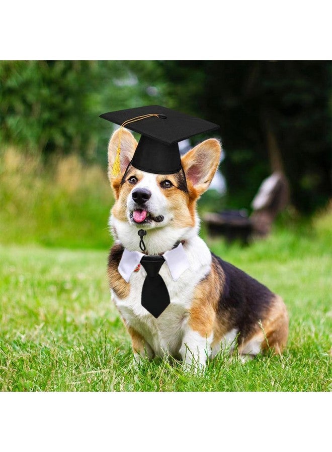 بيسماهير قبعات تخرج للحيوانات الأليفة مكونة من قطعتين مع ربطة عنق على شكل فيونكة، لكلب صغير وقط، وقبعة تخرج باللونين الأبيض والأسود مع شرابات وربطة عنق، طقم من أجل الجراء والقطط الصغيرة، ومهرجانات العطلات، وحفلات الكرنفال، وإكسسوارات الأزياء - Image 4