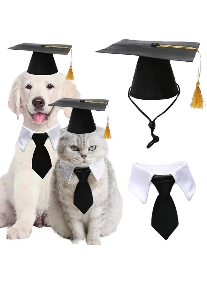بيسماهير قبعات تخرج للحيوانات الأليفة مكونة من قطعتين مع ربطة عنق على شكل فيونكة، لكلب صغير وقط، وقبعة تخرج باللونين الأبيض والأسود مع شرابات وربطة عنق، طقم من أجل الجراء والقطط الصغيرة، ومهرجانات العطلات، وحفلات الكرنفال، وإكسسوارات الأزياء - Image 1