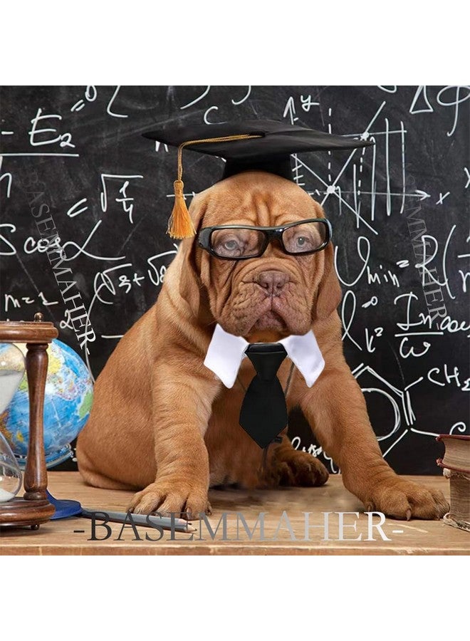 بيسماهير قبعات تخرج للحيوانات الأليفة مكونة من قطعتين مع ربطة عنق على شكل فيونكة، لكلب صغير وقط، وقبعة تخرج باللونين الأبيض والأسود مع شرابات وربطة عنق، طقم من أجل الجراء والقطط الصغيرة، ومهرجانات العطلات، وحفلات الكرنفال، وإكسسوارات الأزياء - Image 3