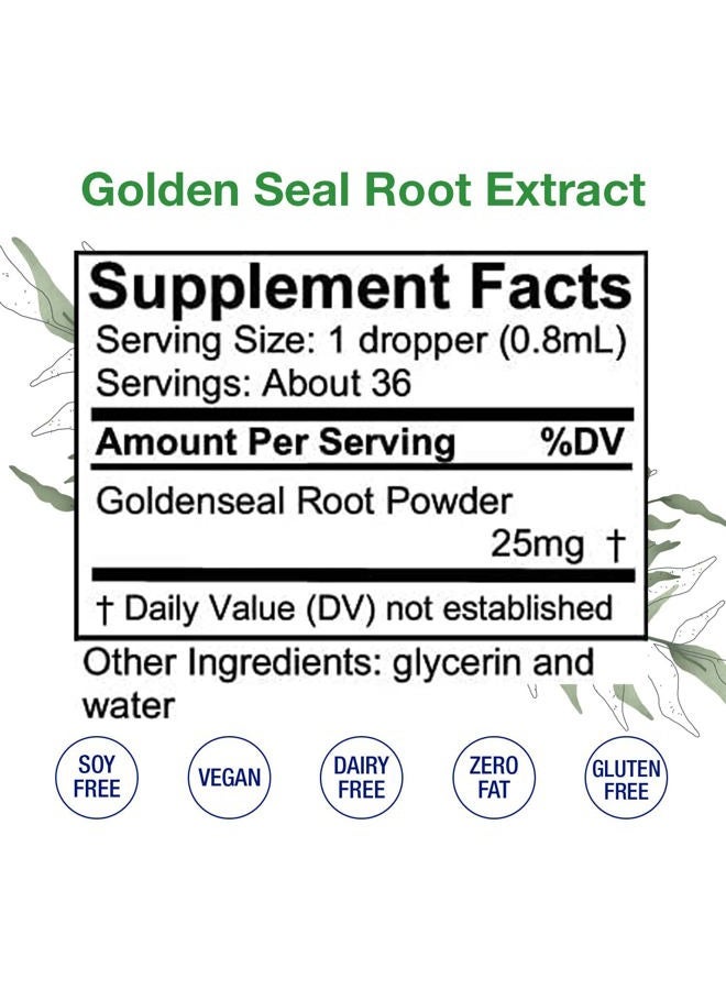 HoneyCombs GoldenSeal Alcohol Free Extract Liquid – Natural, Organically Sourced GoldenSeal Root Supplement for Digestion, Respiratory & Immune Support – Cold Pressed Goldenseal Drops, 1 Fl Oz - Image 2