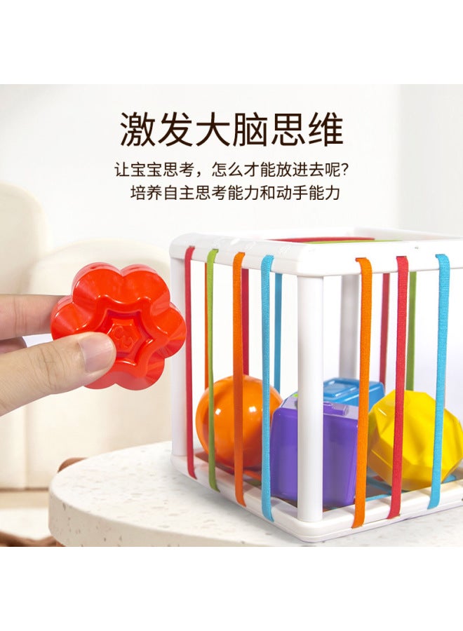 BT Toys Saisele Baby Sensory Training Hand Ball Early Education Shape Color Cognitive Educational Toys - Image 3