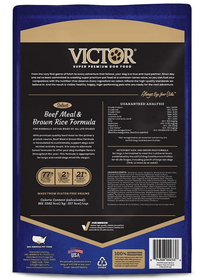 فيكتور طعام كلاب فيكتور سوبر بريميوم - سيليكت - وجبة لحم بقري وأرز بني - طعام جاف خالي من الجلوتين للكلاب النشطة بشكل طبيعي في جميع مراحل الحياة، 5 أرطال - Image 3