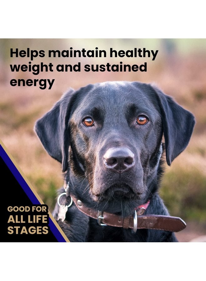 فيكتور طعام كلاب فيكتور سوبر بريميوم - سيليكت - وجبة لحم بقري وأرز بني - طعام جاف خالي من الجلوتين للكلاب النشطة بشكل طبيعي في جميع مراحل الحياة، 5 أرطال - Image 5