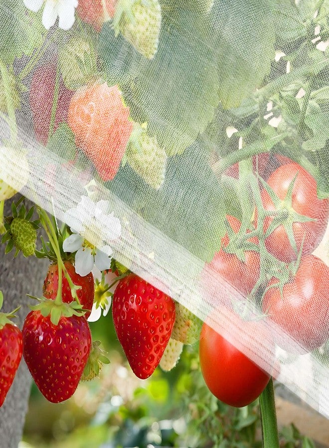 Rainflow شبكة رين فلو للحدائق - شبكة حماية من الحشرات مقاس 10 × 5 قدم لحماية الحديقة، شبكة للنباتات، أغطية للصفوف، غطاء لأحواض الزهور، غطاء للنباتات - Image 1