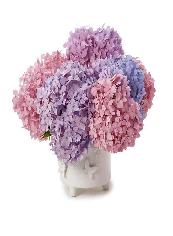 توز كومباني مزهرية كاشبوت بقاعدة فراشة من تووز كومباني، 5.75 بوصة، سيراميك، أبيض - Image 2