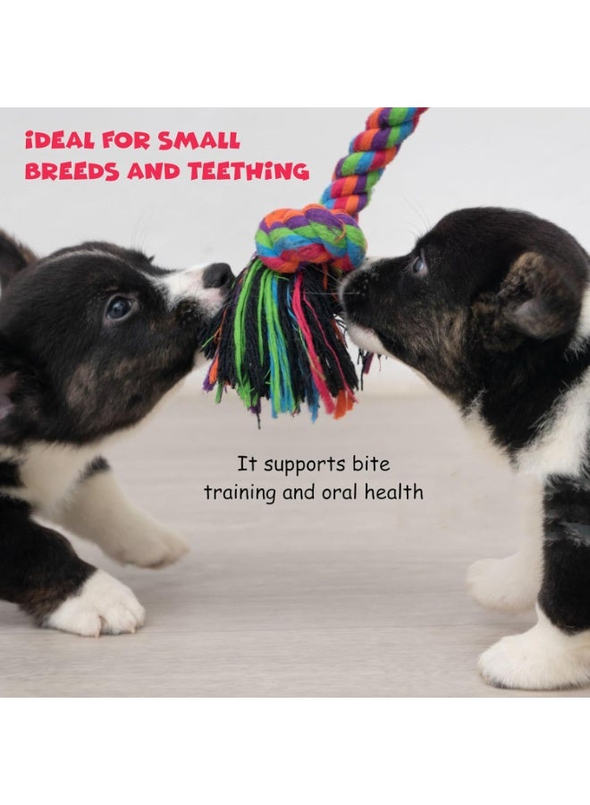 FUNFY 7-Piece Puppy Chew Toy Set, Dog Teething Toys with Rope Toys, Treaded Balls, Starfish Toy, Burger Toy, Squeaky Toys for Small and Medium Dogs - Image 5