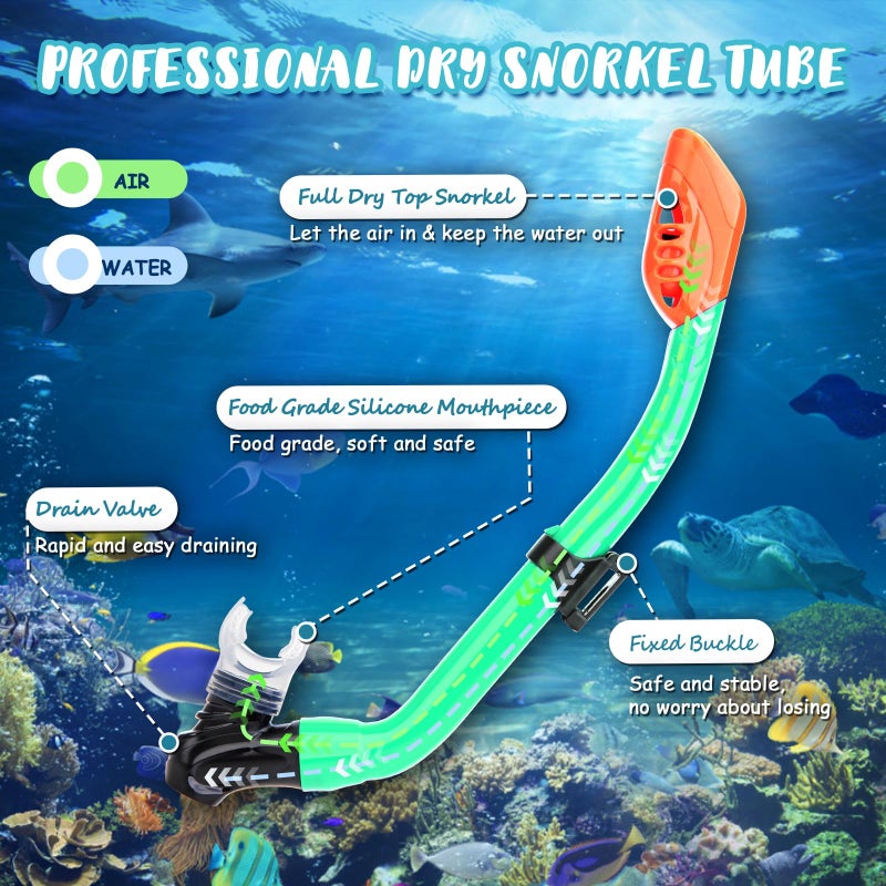 CTSAYTL Snorkeling Gear for Kids, 4 in 1 Child Mask Fins Snorkel Set with Panoramic View Anti Fog Mask, Dry Top Snorkel, Trek Fins and Travel Bag, Kids Snorkeling Set with Fins for Snorkeling Swimming - Image 3
