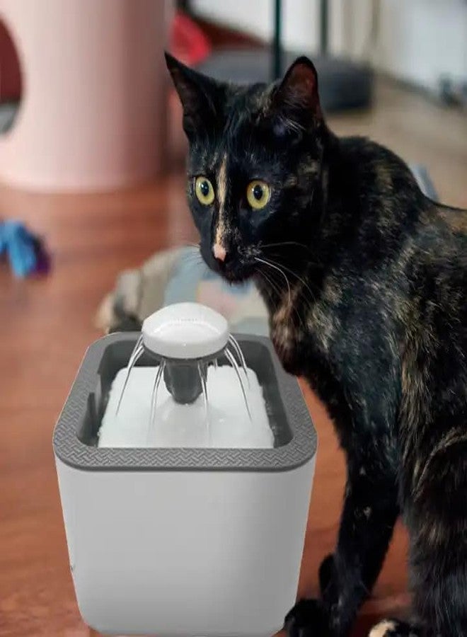 Cat Water Fountain, 33.8 oz/2.5L, Ultra Quiet (50 DB) Dog & Cat Drinking Fountain with Filter, Automatic Pet Water Fountain for Cats and Small Dogs, Grey (Blue Water Fountain) - Image 1