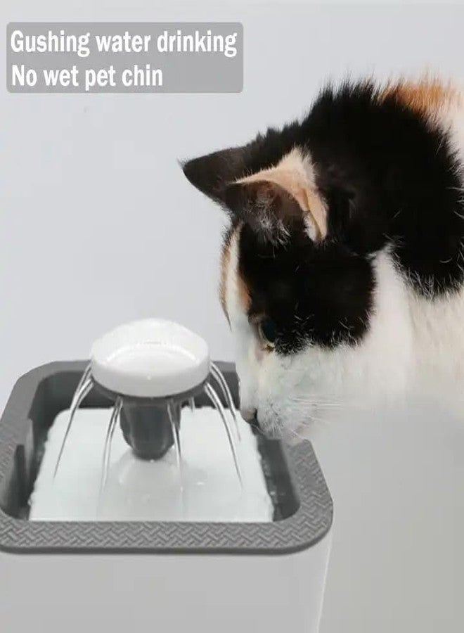 Cat Water Fountain, 33.8 oz/2.5L, Ultra Quiet (50 DB) Dog & Cat Drinking Fountain with Filter, Automatic Pet Water Fountain for Cats and Small Dogs, Grey (Blue Water Fountain) - Image 5