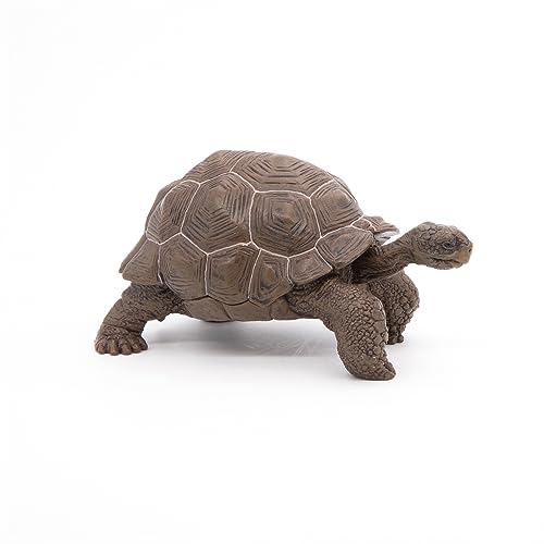 Papo Galapagos Tortoise Toy Figure - Image 4